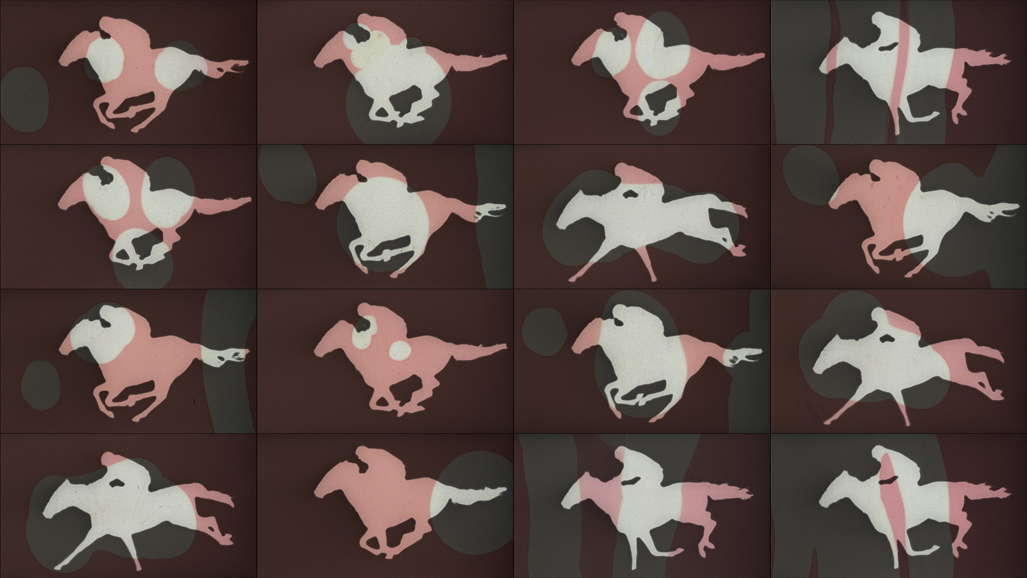Masked Horse Frames
